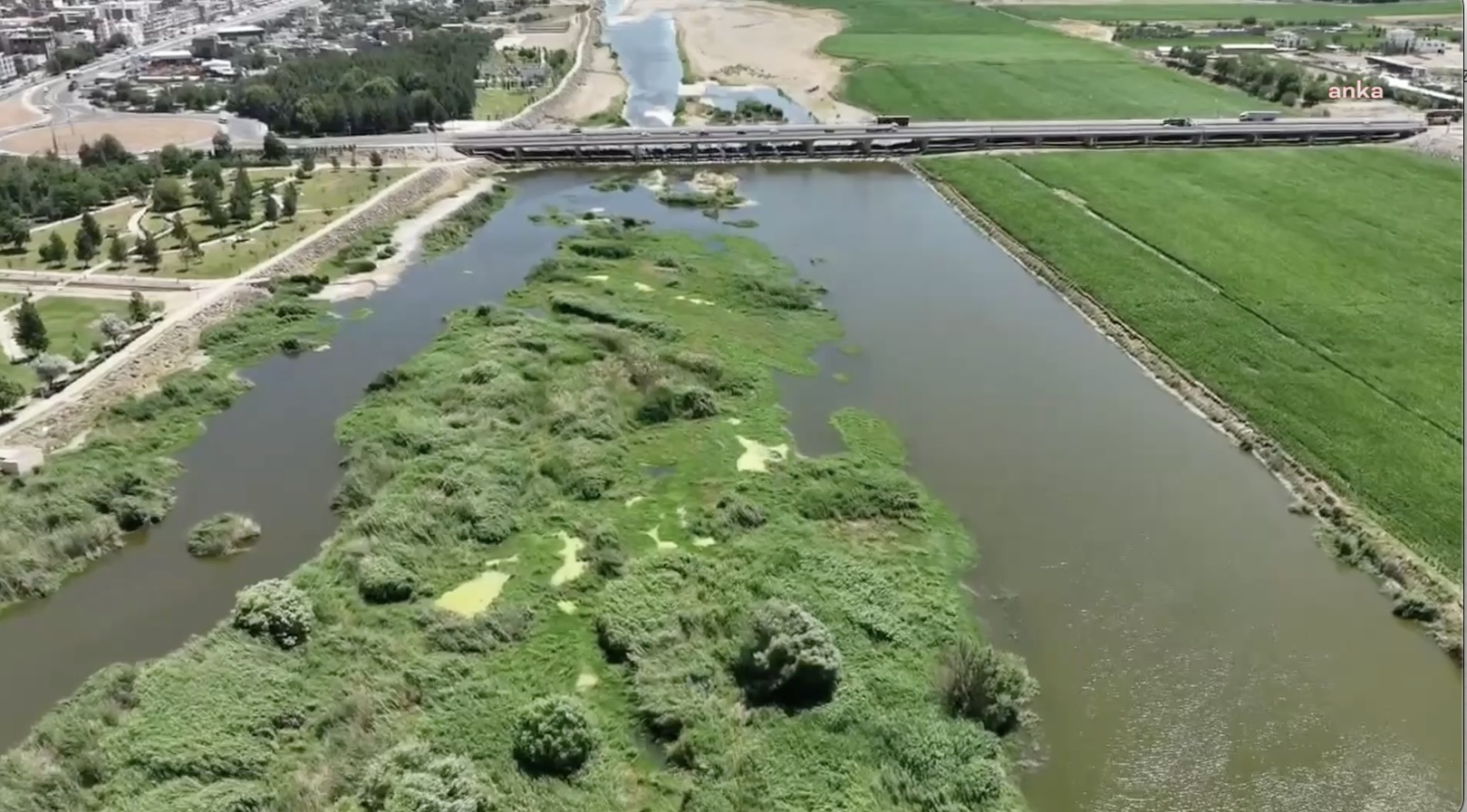 Dicle Nehri üzerindeki adacıklarda 100 milyon lira değerinde uyuşturucu!