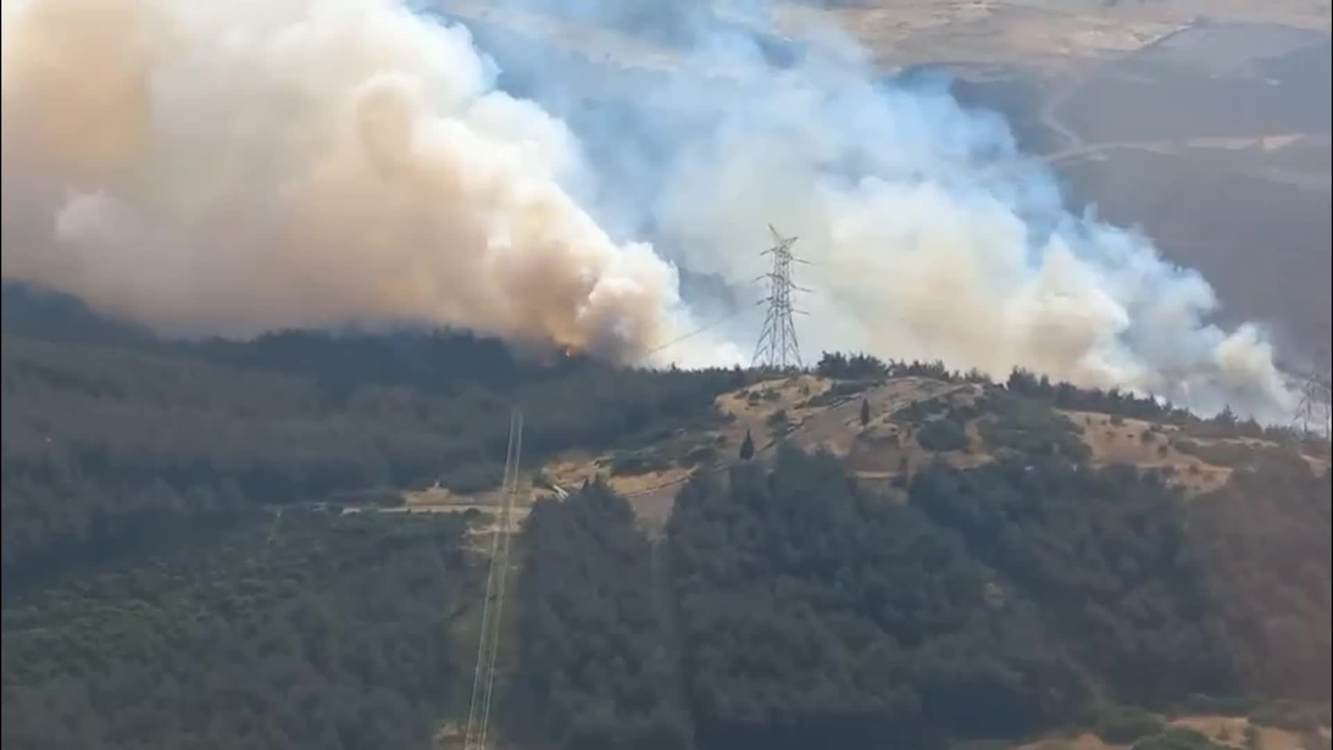 İzmir Aliağa’da orman yangını çıktı