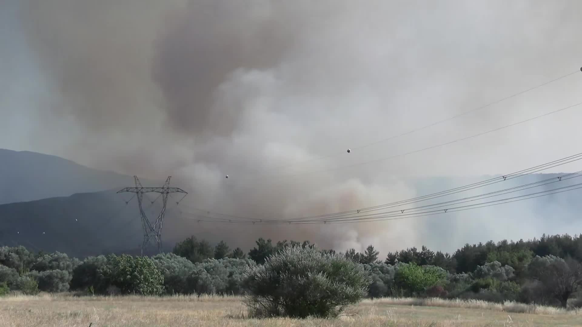 İzmir Bornova’da orman yangını: 455 ev tahliye edildi