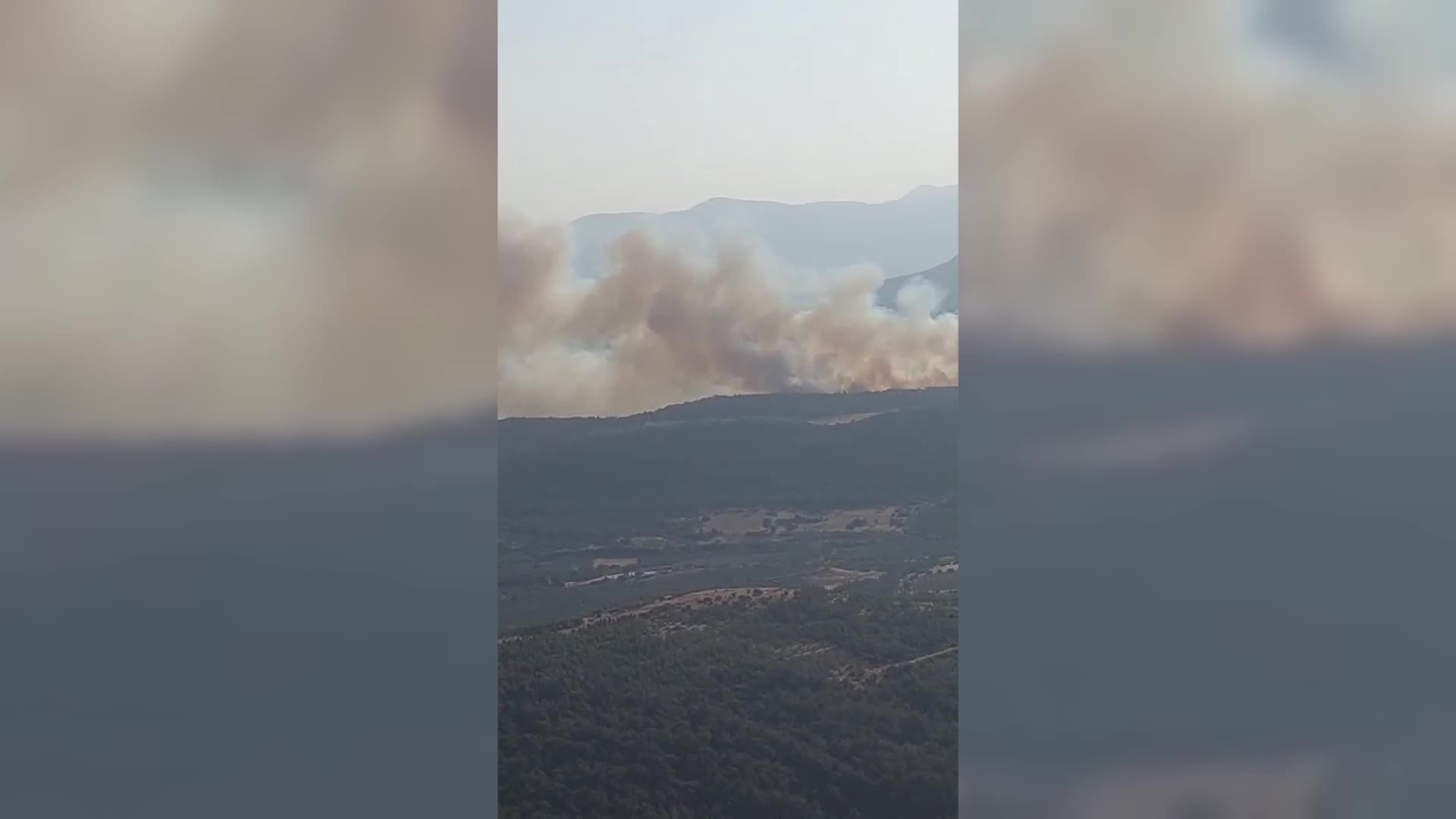 Manisa’nın Kırkağaç ilçesinde orman yangını