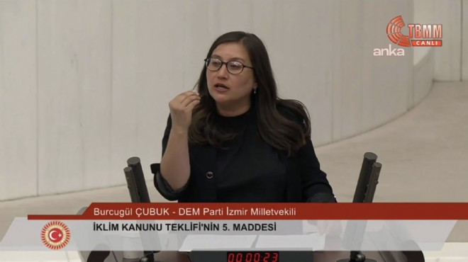 TBMM Genel Kurulu'nda Kürtçe