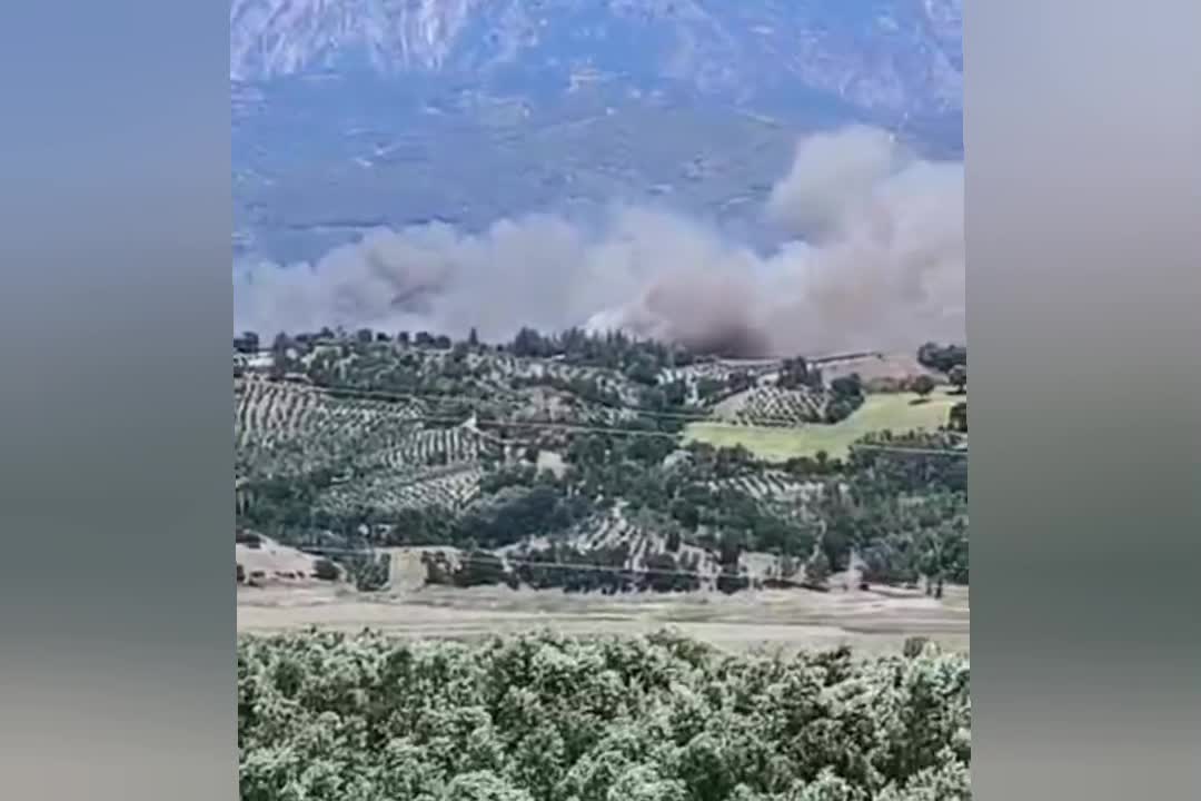 Kahramanmaraş'ta orman yangını başladı