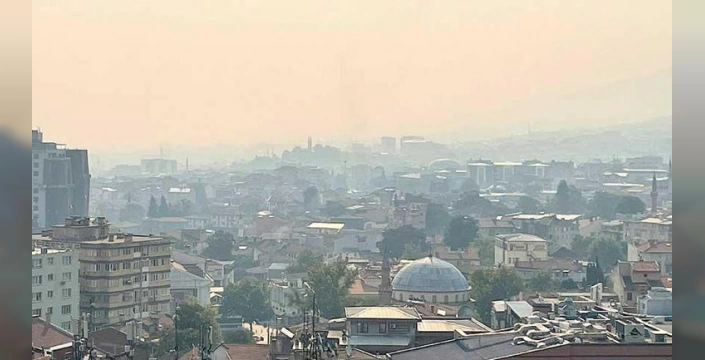 Bursa'da yoğun duman: Bilecik'teki orman yangını kül yağmuruna neden oldu