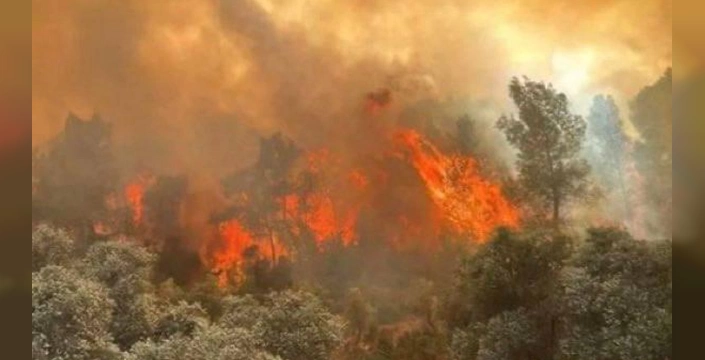Eskişehir'de orman yangını faciası: 11 orman işçisi şehit oldu
