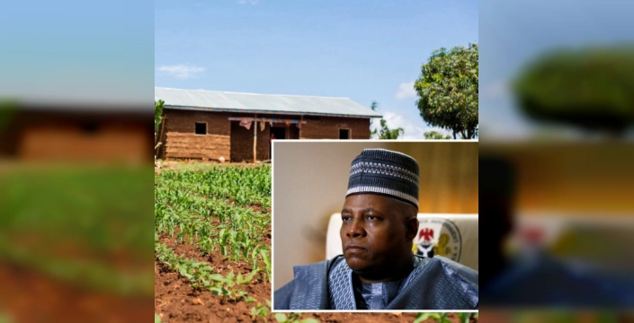 Shettima: Nijerya, gıda üretiminde yapay zekayı kullanıyor