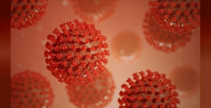 Yunanistan'da candida auris mantarı vakaları arttı