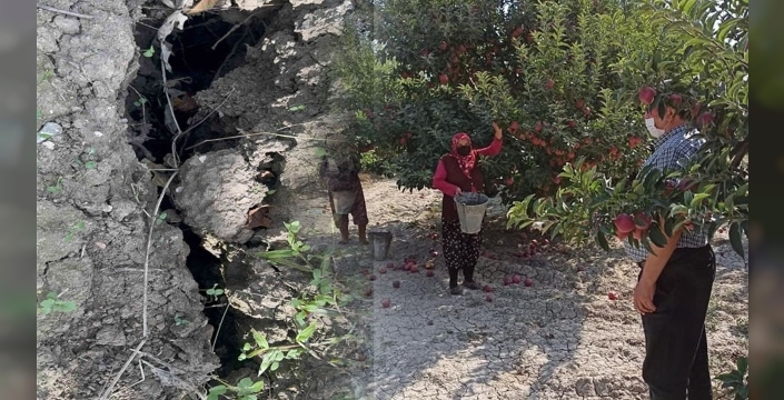 Isparta'da elma bahçesinde olay yaratan obruk oluşumu!