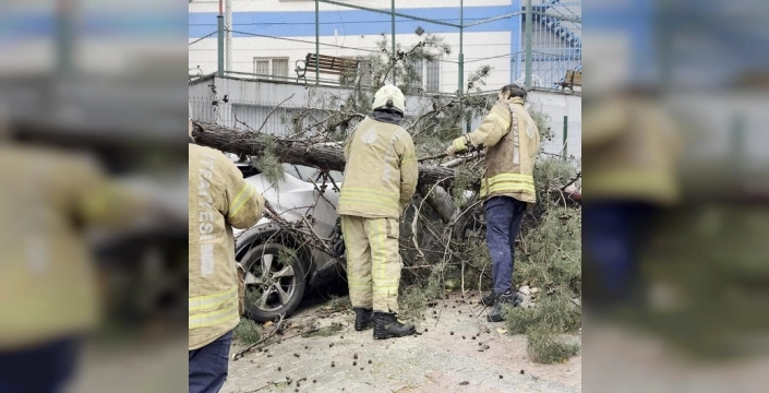 İstanbul'u vuran fırtına bilançosu ağır: 350 ihbar, onlarca tekne hasarlı, seferler iptal