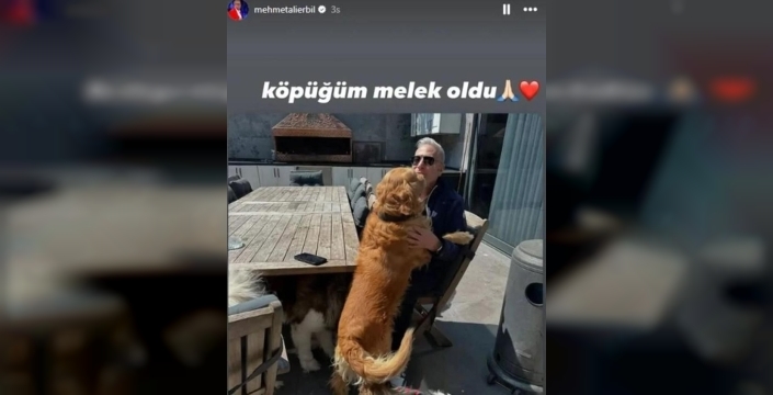 Mehmet Ali Erbil'in 15 yıllık sadık dostu Köpük'ü kaybetmenin acısı yürek burktu