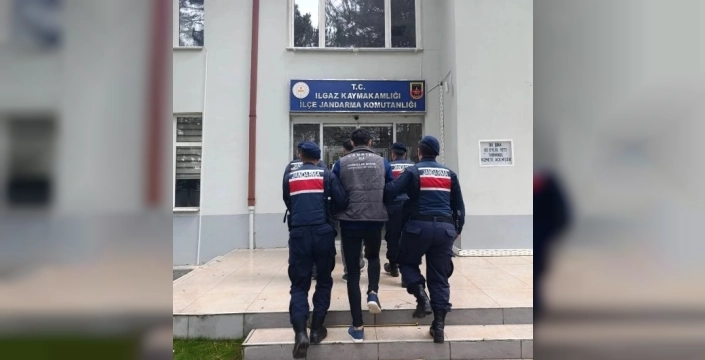 Çankırı'da büyükbaş hayvan hırsızlığına operasyon: Tutuklamalar gerçekleşti