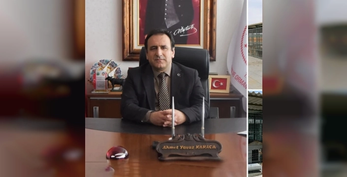 Sokak köpekleri için büyük operasyon: 5 yılda bu sorun kökten çözülüyor mu?