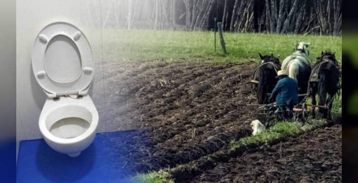 Amish ailesinin 'dışkı gübre' savaşı: Modern hayatla inanç çatışması