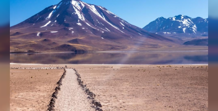 Atacama Çölü'nde yaşam izleri keşfedildi