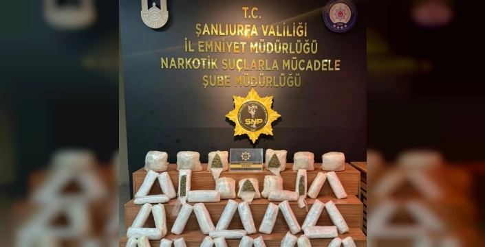 Şanlıurfa'da büyük uyuşturucu operasyonu: 20 kilo skunk ele geçirildi