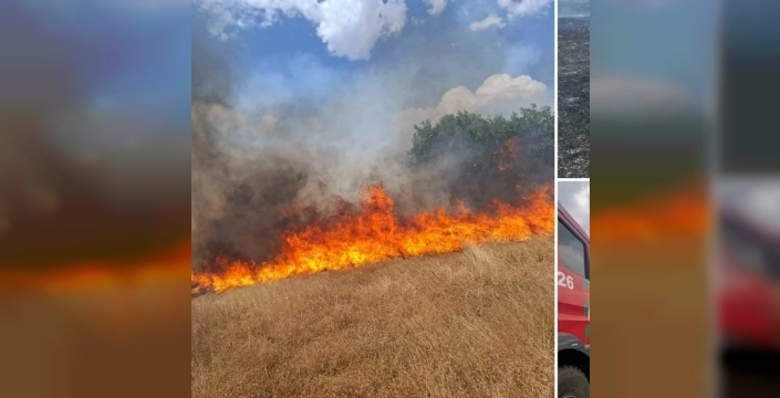 Diyarbakır'da yangın felaketi: Söndürme çalışmaları sürüyor