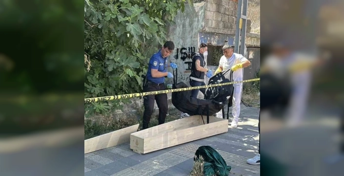 Kaybolan kedisini ararken korkunç bir cesetle karşılaştı