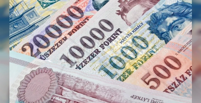 Macaristan'dan tarihi karar: Euro'ya geçiş için 2030 hedefleniyor