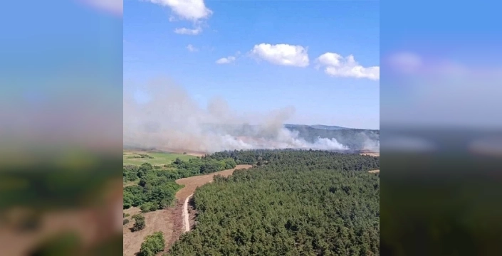 Muğla'da ormanlar yanıyor, valilikten acil uyarı: Ateş yakmak yasak, izmarit bile tehlike!