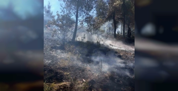 Bilecik'te orman yangını: Ekipler seferber oldu