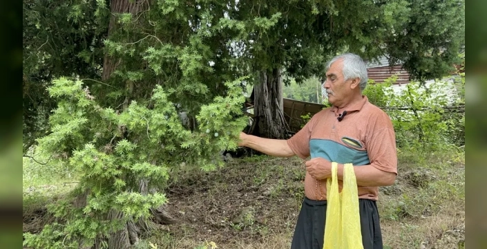 Doğanın Sırrıyla 10 metrekarede servet: Andız çekirdeğinden tespih hikayesi