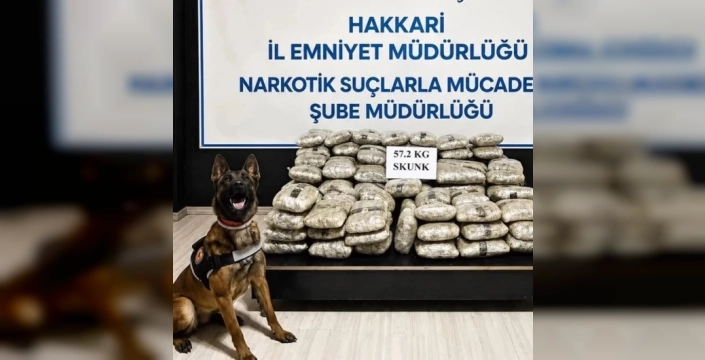 Hakkari'de uyuşturucu sevkiyatı durduruldu: 57 kilo skunk ele geçirildi