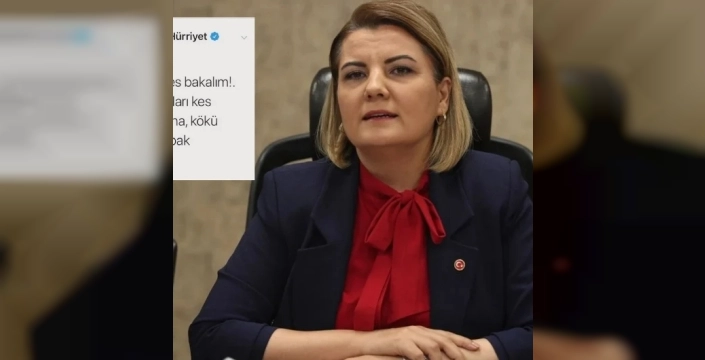 İzmit Belediye Başkanı Hürriyet'in Gezi tweet'i yeniden gündemde: 'Sapı anana girecek