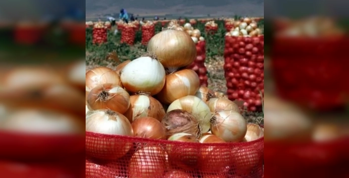 Kuru soğanda gümrük vergisi geçici olarak yüzde 5'e indirildi