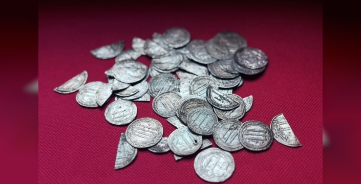 Viking topraklarında İslam hazinesi: Yüzlerce gümüş dirhem topraktan çıktı